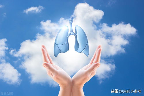 好肺好健康，日常生活中護肺良方